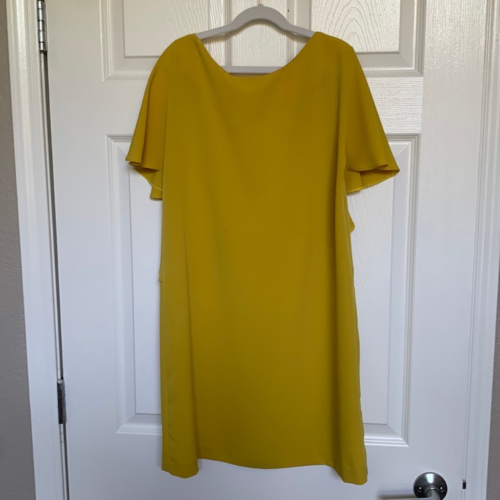 Zara shift dress